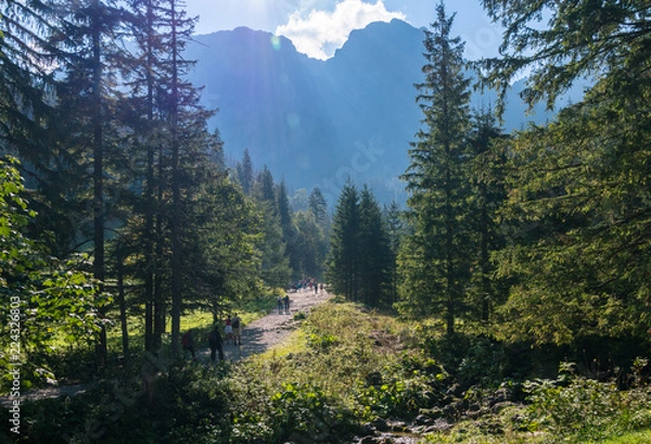 Obraz tatry dolina strążyska