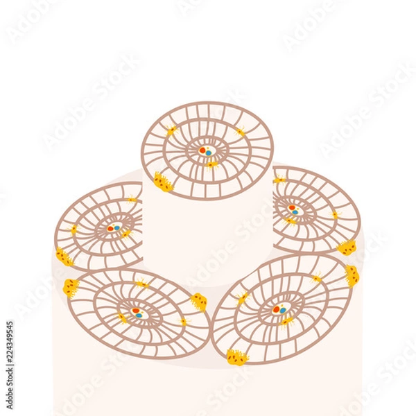 Obraz bone cells in an osteon vector illustration
