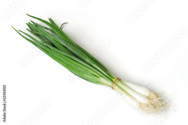 Obraz Pakiet z izolowanej cebuli sprężynowej