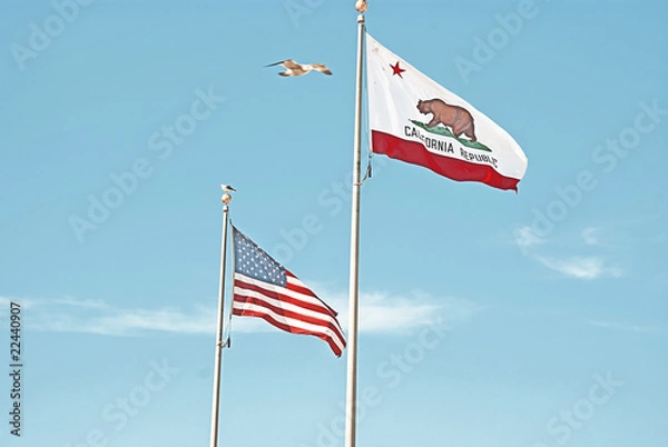 Obraz the seagull and the flags