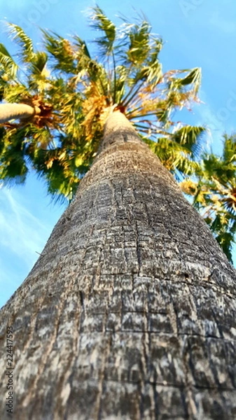 Obraz Landscape Clouds Skyline 