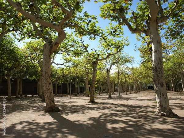 Obraz mathildenhöhe