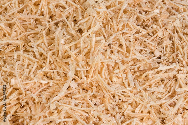 Fototapeta wooden shaving as texture