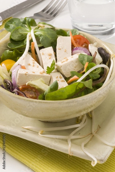 Obraz Tofu salad.