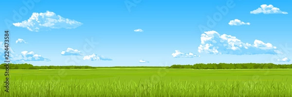 Obraz Panorama - the summer field