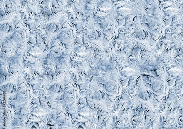 Fototapeta hoarfrost