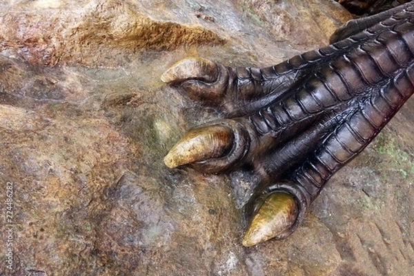 Obraz Giant Dinosaur Foot