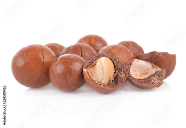 Fototapeta Macadamia nut isolated on white background.
