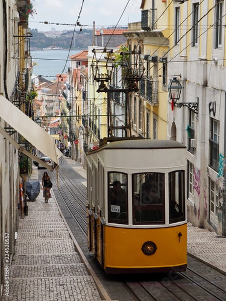 Obraz OLYMPUS DIGITAL CAMERA