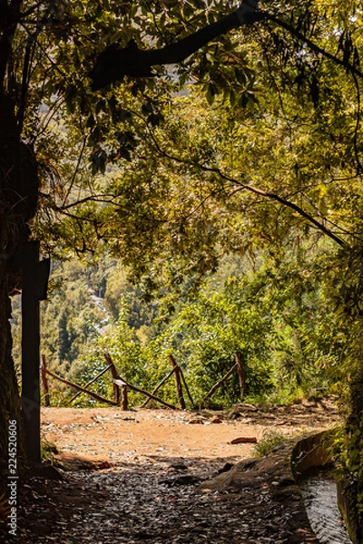 Obraz MADIERA HOLIDAYS