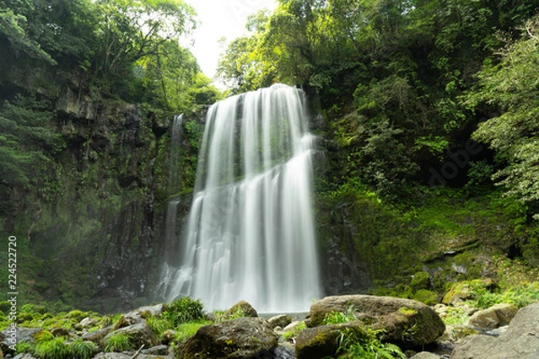 Fototapeta 九州の桜滝