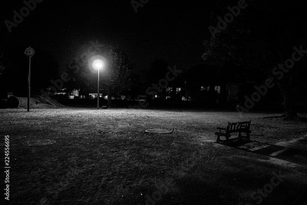 Fototapeta 夜の公園　モノクロ