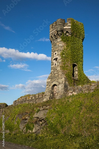 Fototapeta Mit Efeu überwucherter Turm - Wales