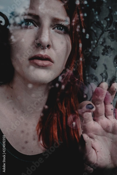 Fototapeta  through the window