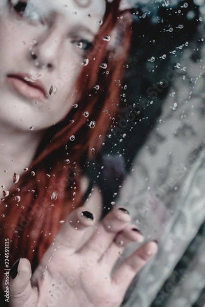 Fototapeta  through the window