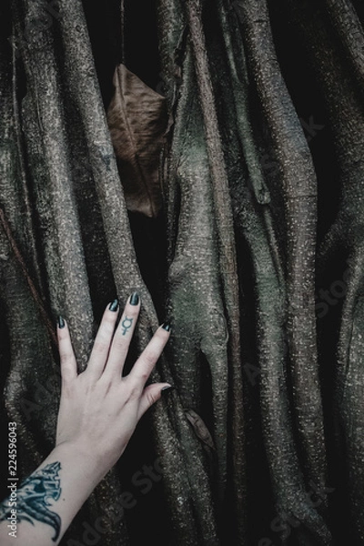 Fototapeta hand and roots