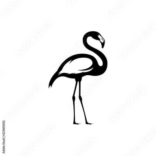 Obraz flamingo vector silhouette