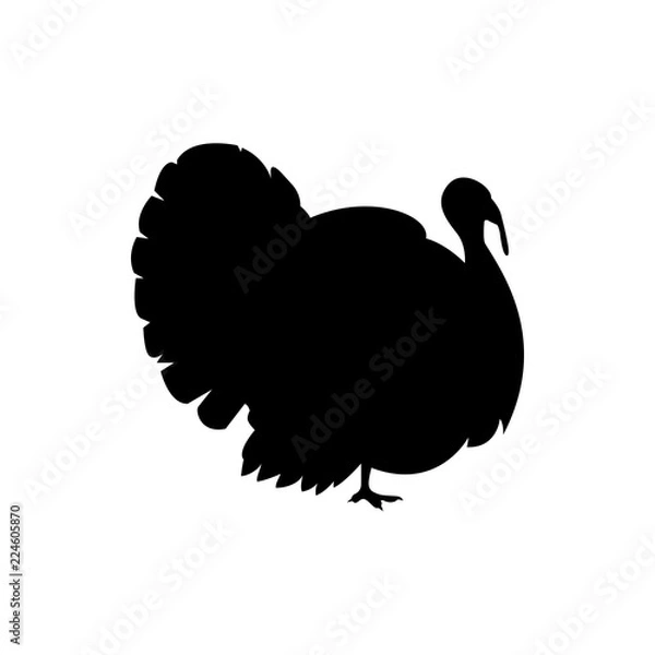 Obraz turkey bird vector silhouette
