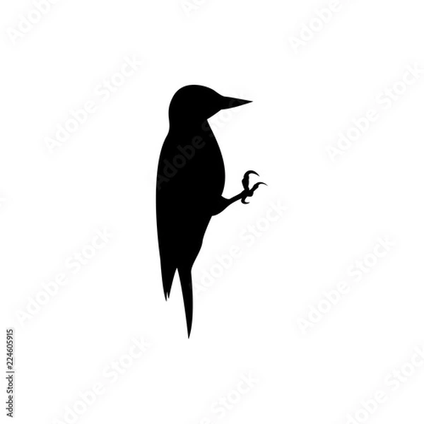 Obraz woodpecker vector silhouette