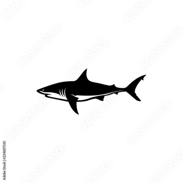 Obraz shark vector silhouette