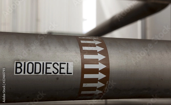 Fototapeta Biodiesel
