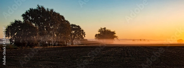 Fototapeta Sunrise unplanted field with fog and trees