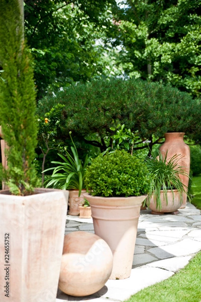 Obraz Terrakottatöpfe