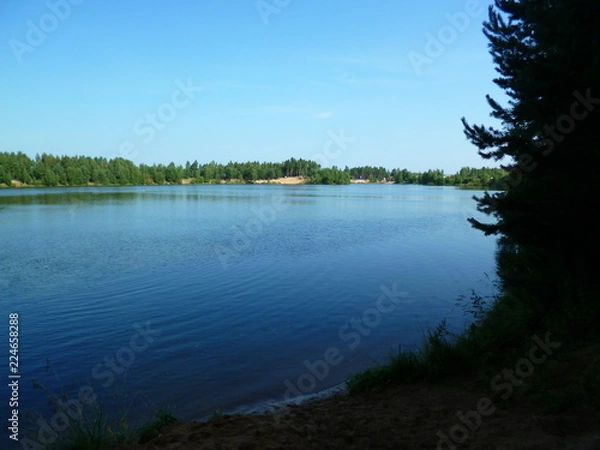 Obraz lake in the forest