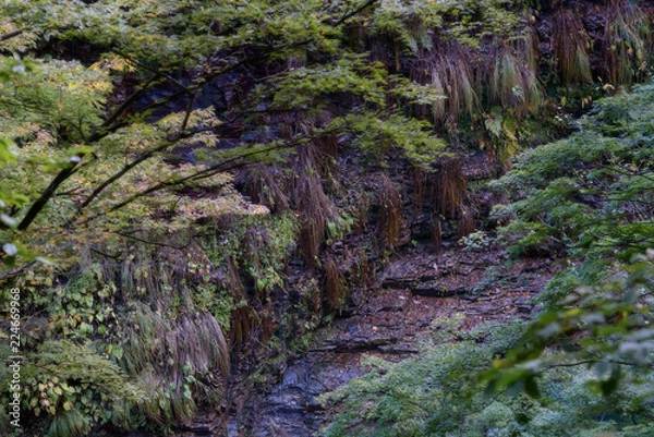 Fototapeta 小安峡