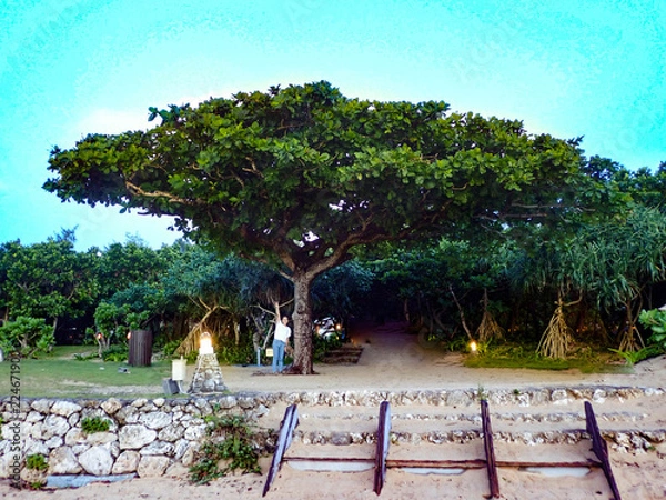 Obraz 石垣島　海　魚　沖縄　ダイビング　　