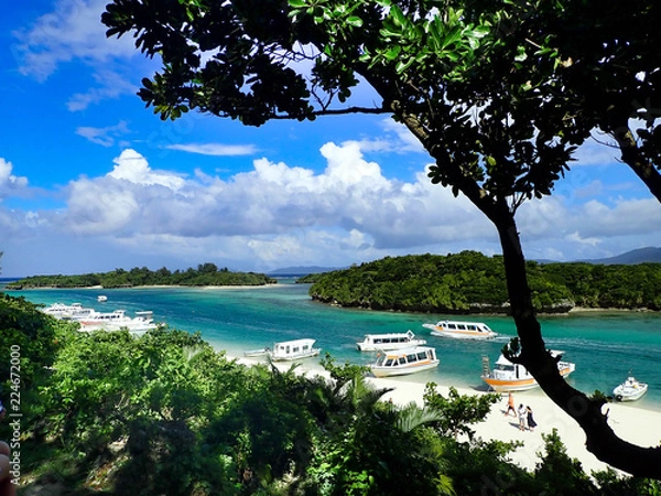 Obraz 石垣島　海　魚　沖縄　ダイビング　　