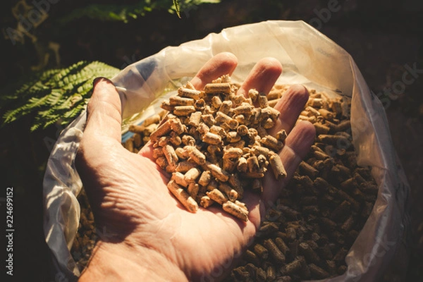 Obraz natural wood pellet