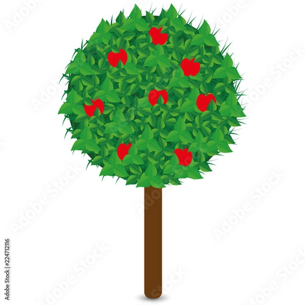 Fototapeta Collection of trees illustrations. Can be used to illustrate any nature or healthy lifestyle topic