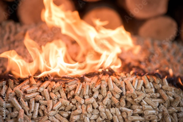 Obraz Burning wooden pellets