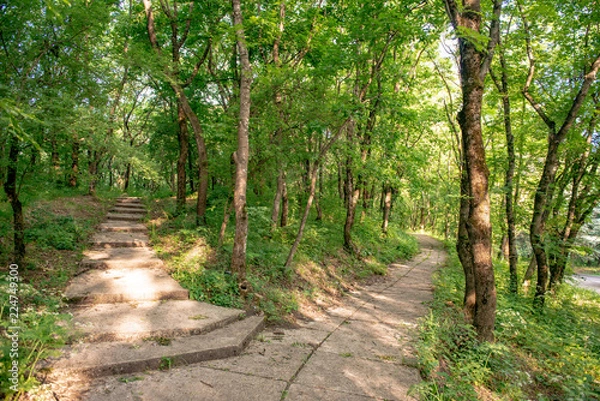 Fototapeta Personal perspective of walking on a path in the forest.