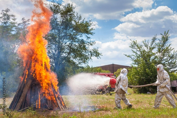 Obraz fire in forest