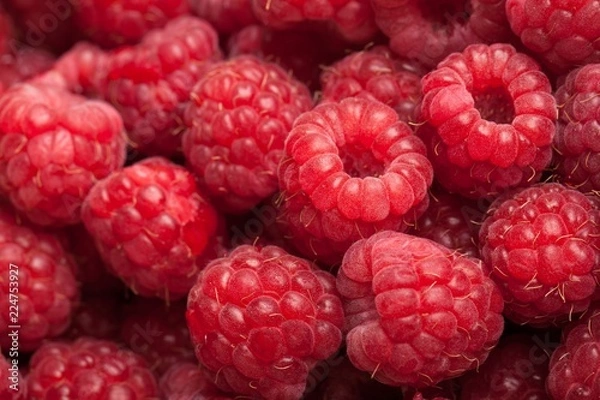Obraz Raspberries