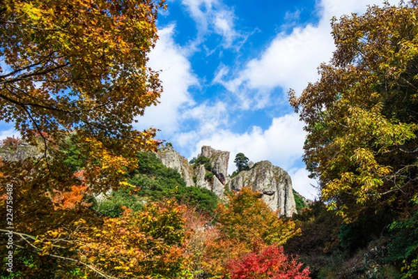 Fototapeta 秋の寒霞渓