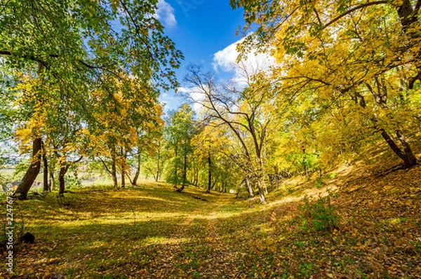 Obraz autumn forest, forest road