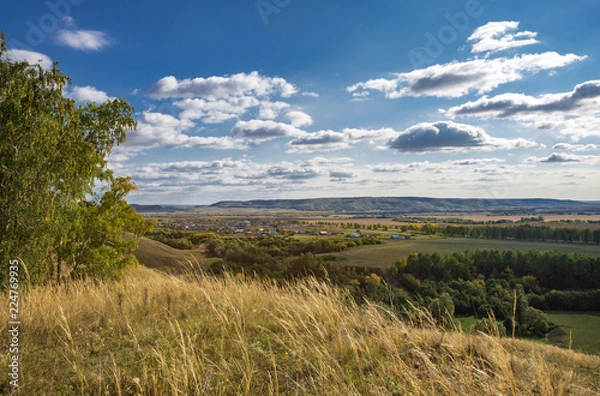 Obraz autumn forest, forest road