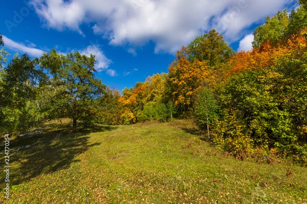 Obraz autumn forest, forest road