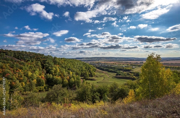Obraz autumn forest, forest road