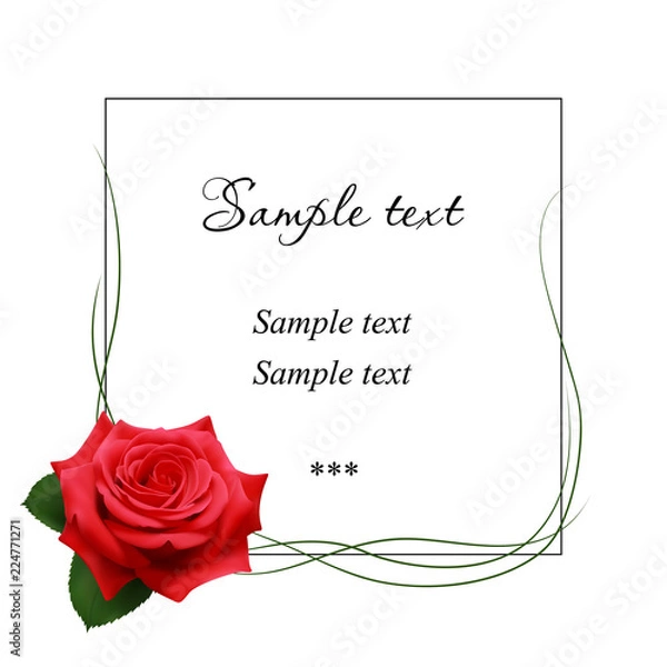 Obraz Realistic red rose, card.