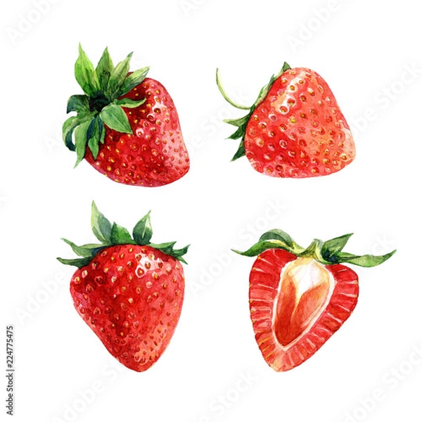 Fototapeta Set of watercolor strawberries, whole berries and cut.