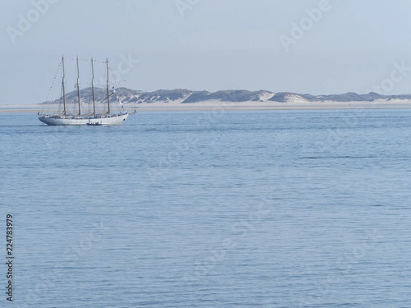 Obraz OLYMPUS DIGITAL CAMERA