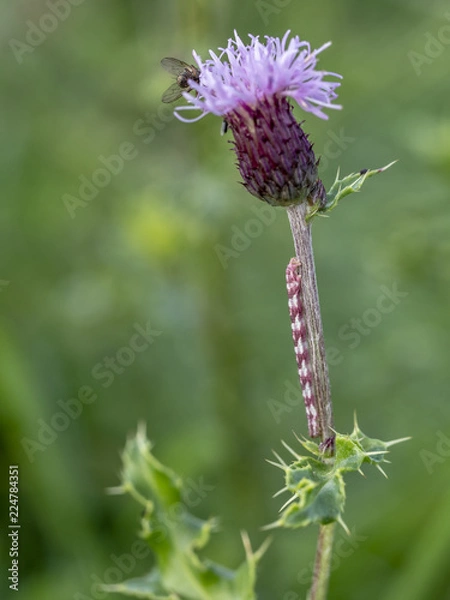 Obraz OLYMPUS DIGITAL CAMERA