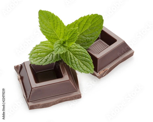 Obraz cioccolato e menta