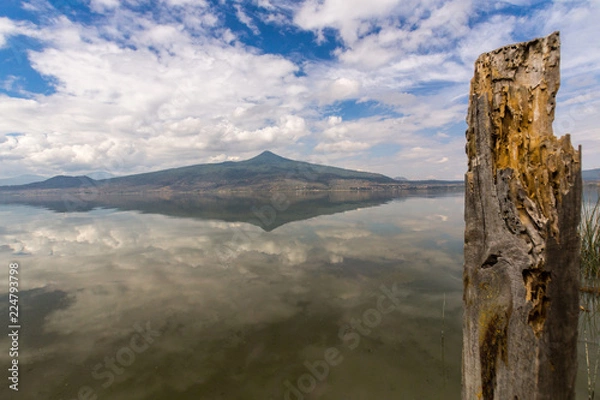 Obraz tronco en el lago