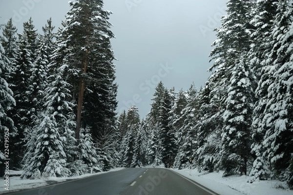 Obraz Herrliche Straße mit Schnee im Winter