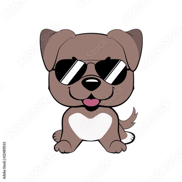 Fototapeta Isolated colorful head and face of happy labrador retriever on white background. Color flat cartoon breed dog portrait